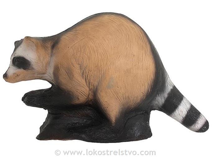 3D WILD LIFE RACOON - RAKUN