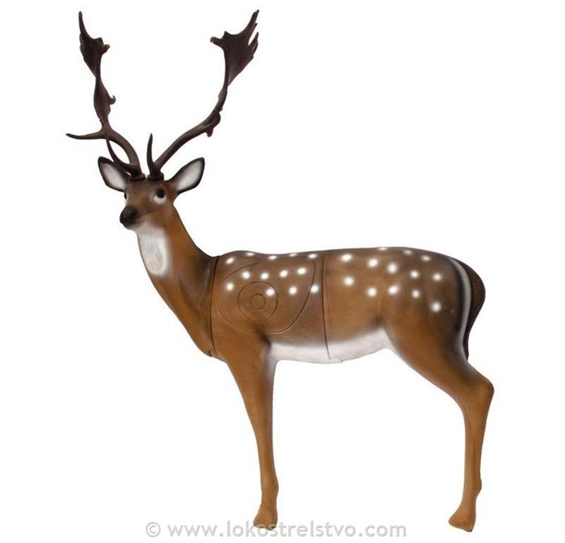 3D SRT FALLOW DEER - DAMJEK