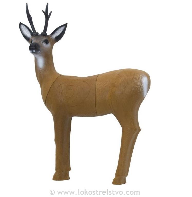 3D SRT ROE DEER - SRNJAK