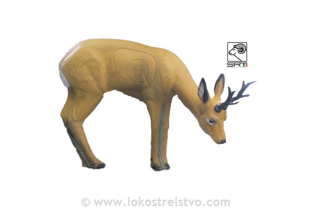 3D SRT ROEBUCK GRAZING - SRNJAK