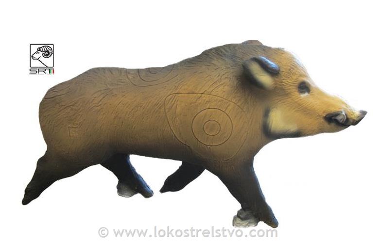 3D SRT WILD BOAR RUNNING - DIVJI PRAŠIČ