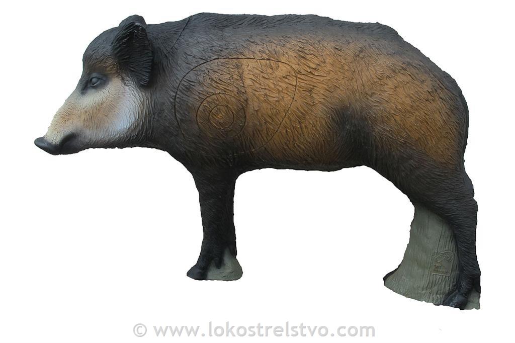 3D SRT RED BOAR - DIVJI PRAŠIČ